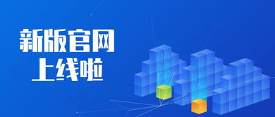更科技，更清新 开鑫官网全新改版，引领网络技术咨询新体验