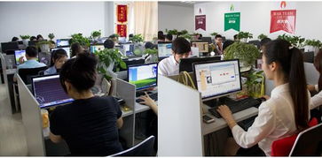 广州网络技术咨询 驱动数字化转型的智慧引擎